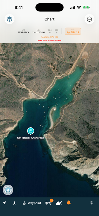 Satellite close-up of Cat Harbor showing the mooring rows and anchorage